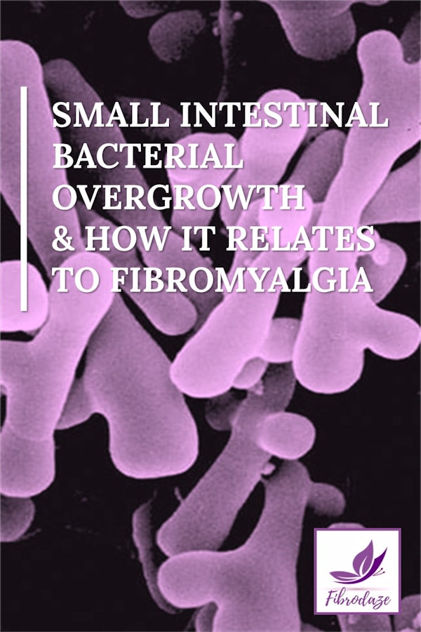 Small Intestinal Bacterial Overgrowth & How It Relates To Fibromyalgia