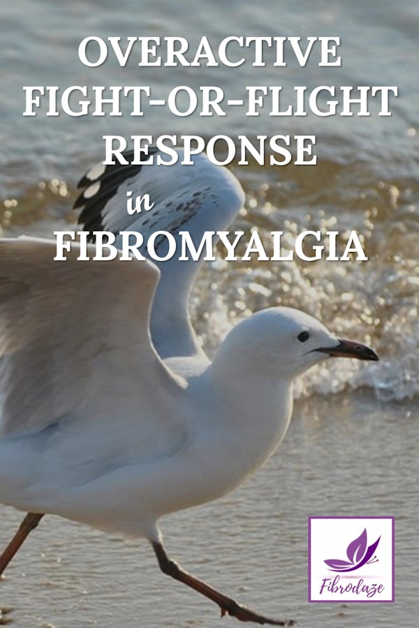 Fight or Flight Response Overactive In Fibromyalgia