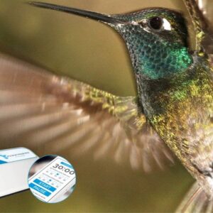 See How The Hummingbird Takes Care Of Fibromyalgia Pain, Fatigue & More