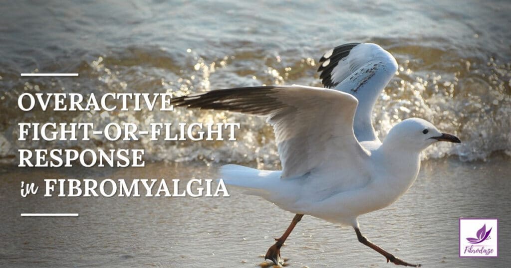 Fight or Flight Response Overactive In Fibromyalgia