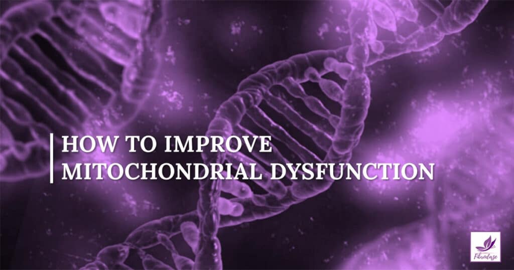 How To Improve Mitochondrial Function