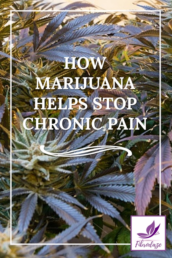 How Medical Marijuana Helps Stop Chronic Pain